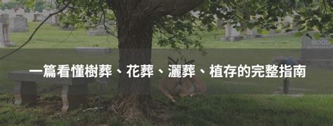 環保樹葬|樹葬、花葬…5種環保葬比一比！17縣市收費標準、政。